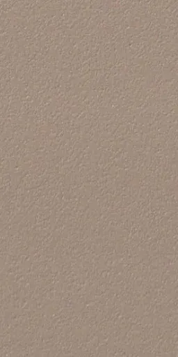 P1019